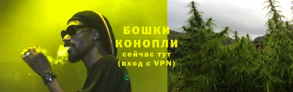 гидра Надым