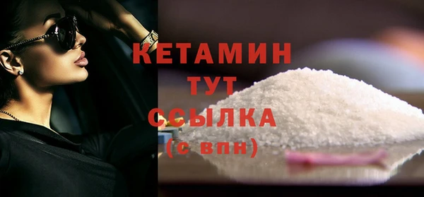 гидра Надым